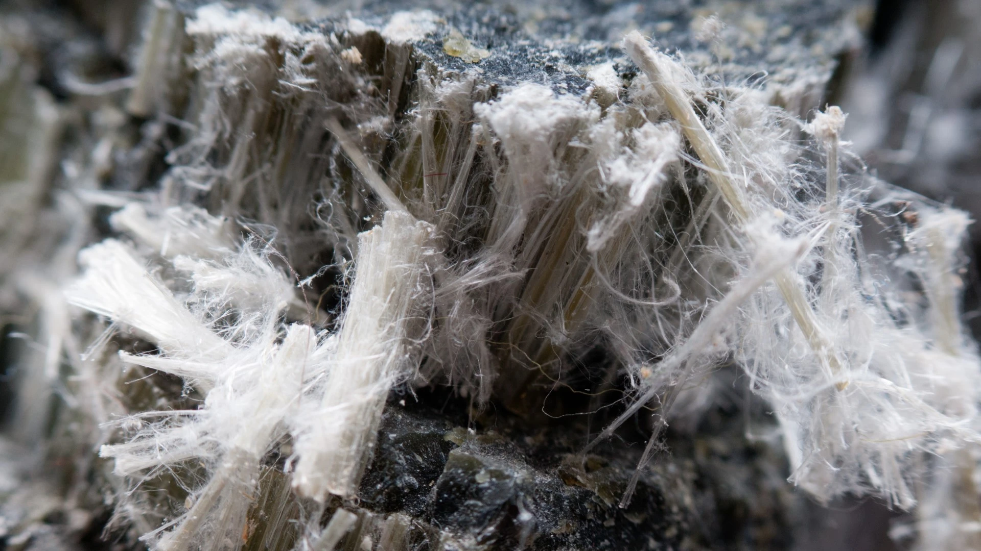 Formations Amiante Normandie : Expertise, Prévention et Sécurité pour les Professionnels