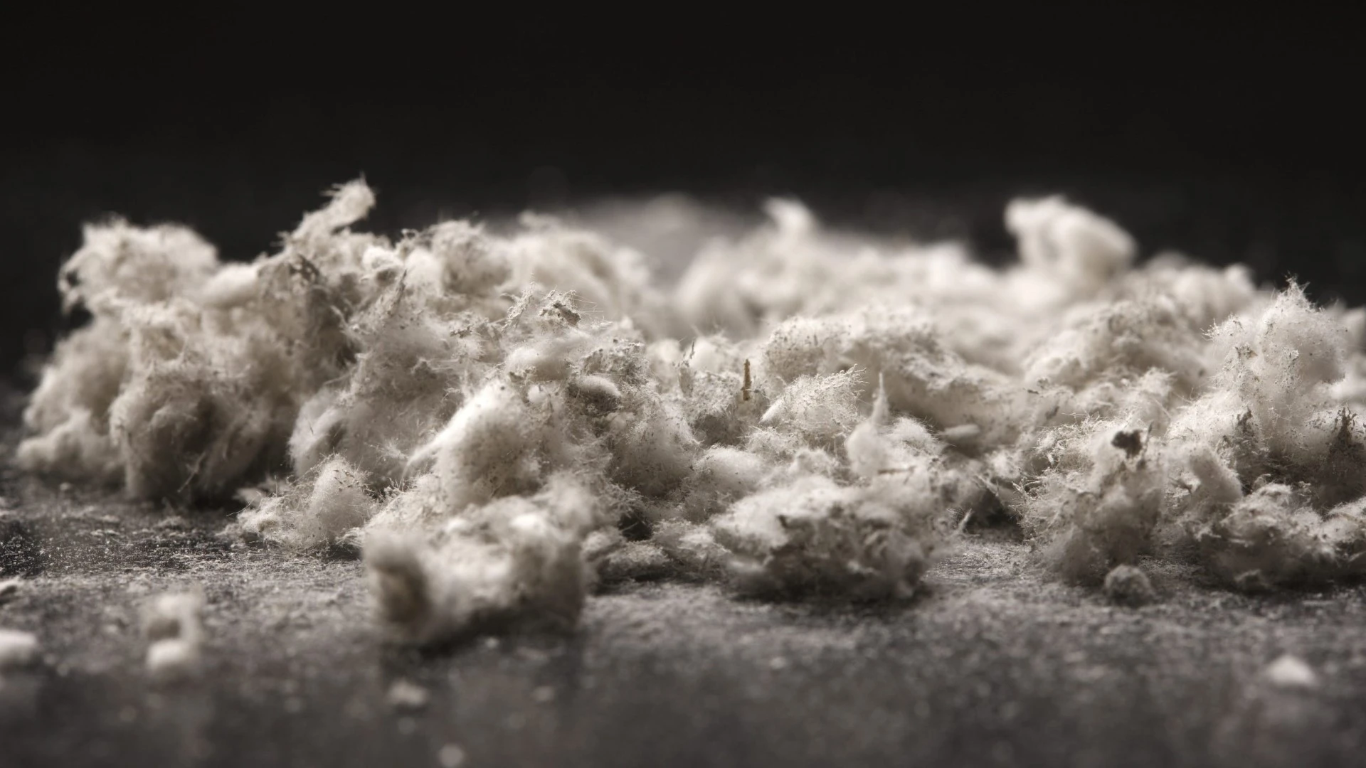 La formation SS4 : Un parcours essentiel pour les professionnels du BTP